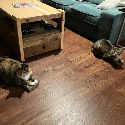 Xena & Sophie